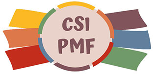 CSI PMF